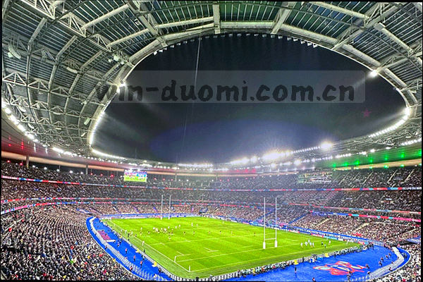 足球场草地纹理与边线特写